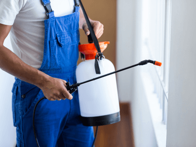 About Santa Fe Oaks Rodent Exclusion - rodent exclusion experts in Santa Fe Oaks